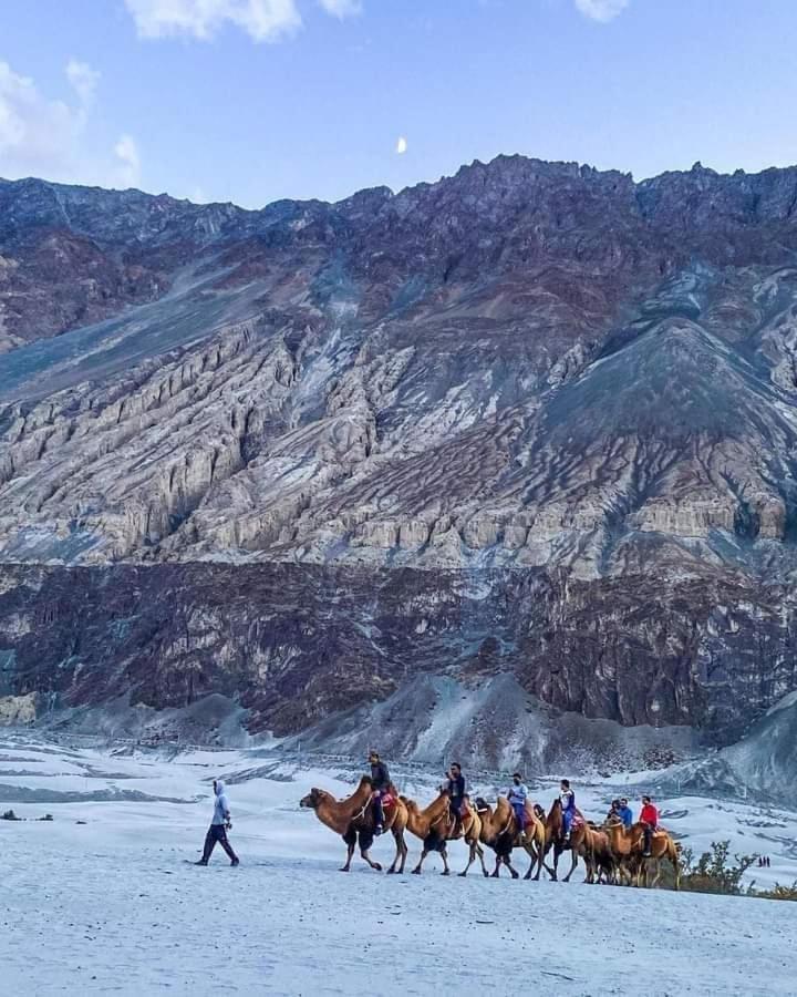 Hotel Nubra Residency Charāsa Εξωτερικό φωτογραφία